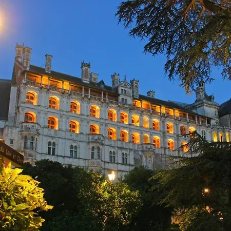 Les Mansardes Du Centre Ville ,Vue Loire Blois Esterno foto