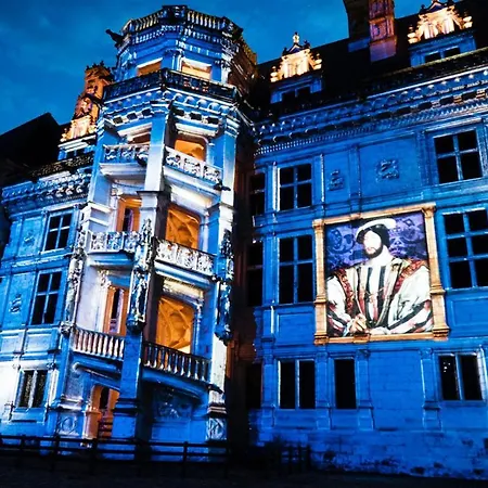 Les Mansardes Du Centre Ville ,Vue Loire Blois Esterno foto