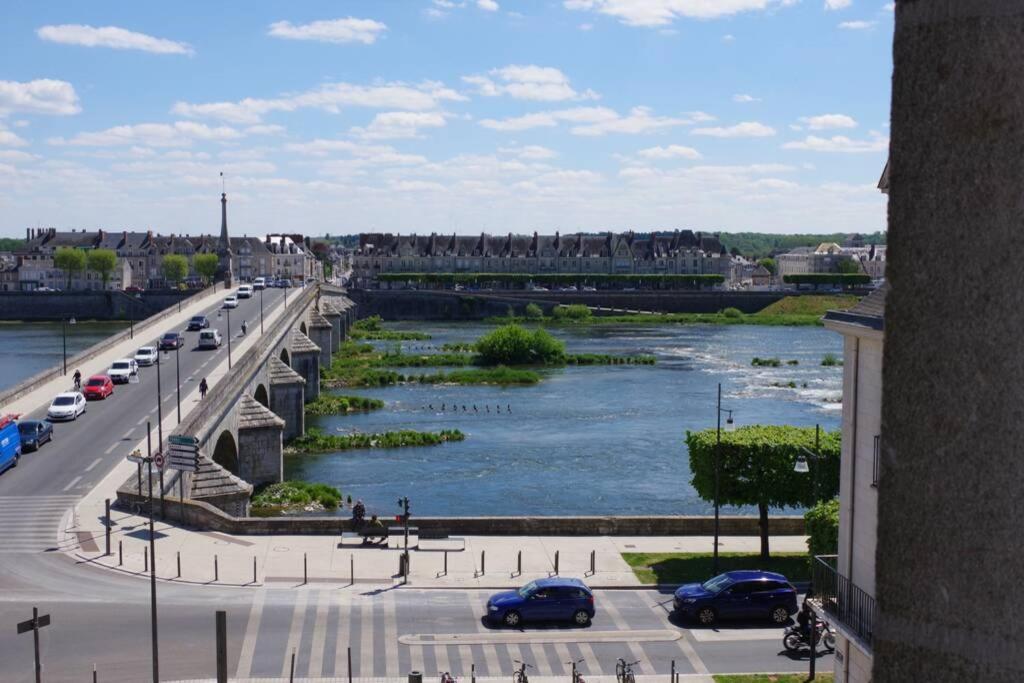 Les Mansardes Du Centre ,vue Loire * Blois