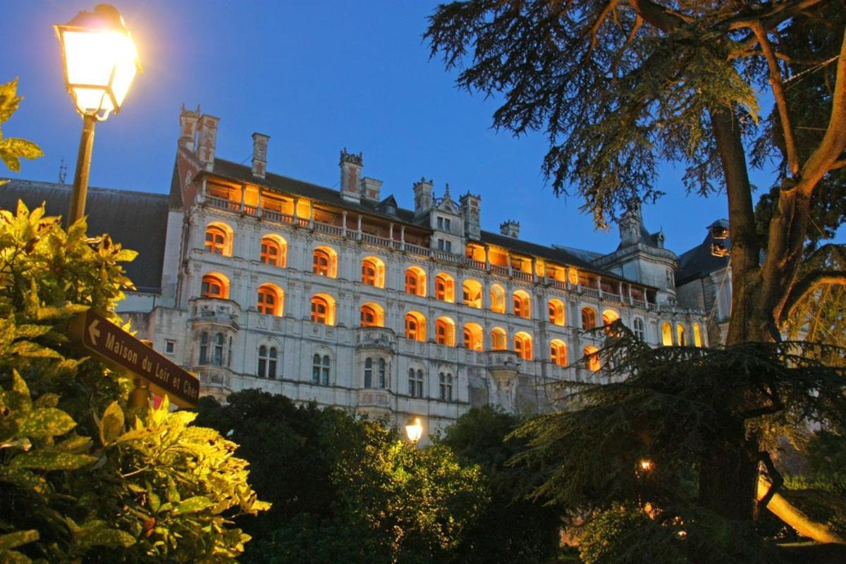 Les Mansardes Du Centre ,vue Loire *